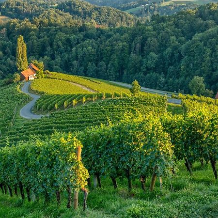 Вілла Turisticna Kmetija Dreisiebner Spicnik Екстер'єр фото