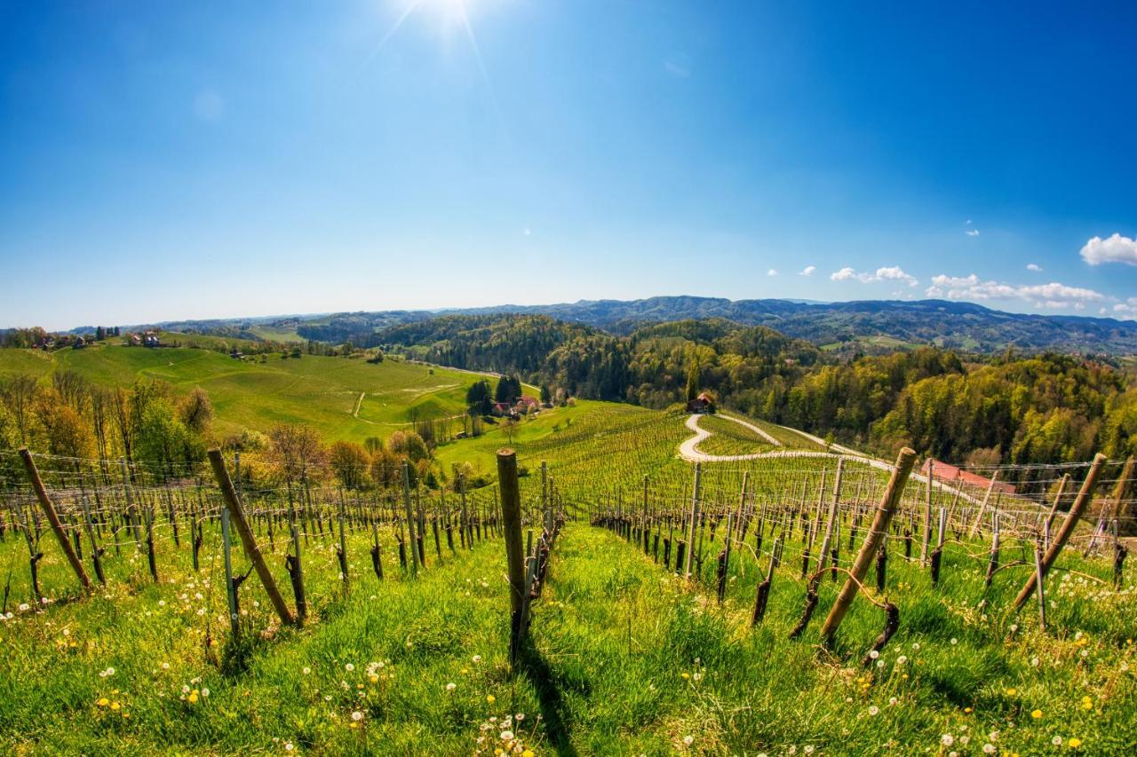 Вілла Turisticna Kmetija Dreisiebner Spicnik Екстер'єр фото