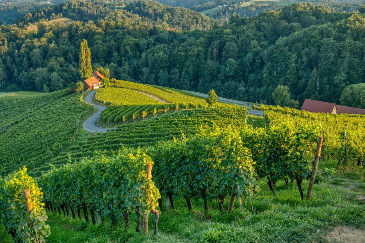 Вілла Turisticna Kmetija Dreisiebner Spicnik Екстер'єр фото